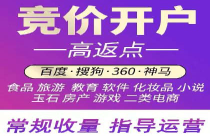 SEM竞价代运营公司成功案例分析